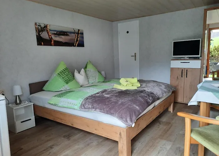 Pfaffensteinblick Reymann شقة